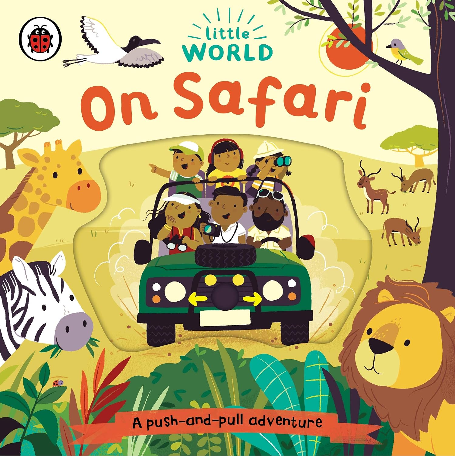 SAFARI.jpg
